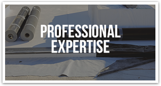 Professional Exptertise